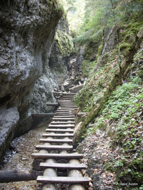 start of the Sucha bela gorge